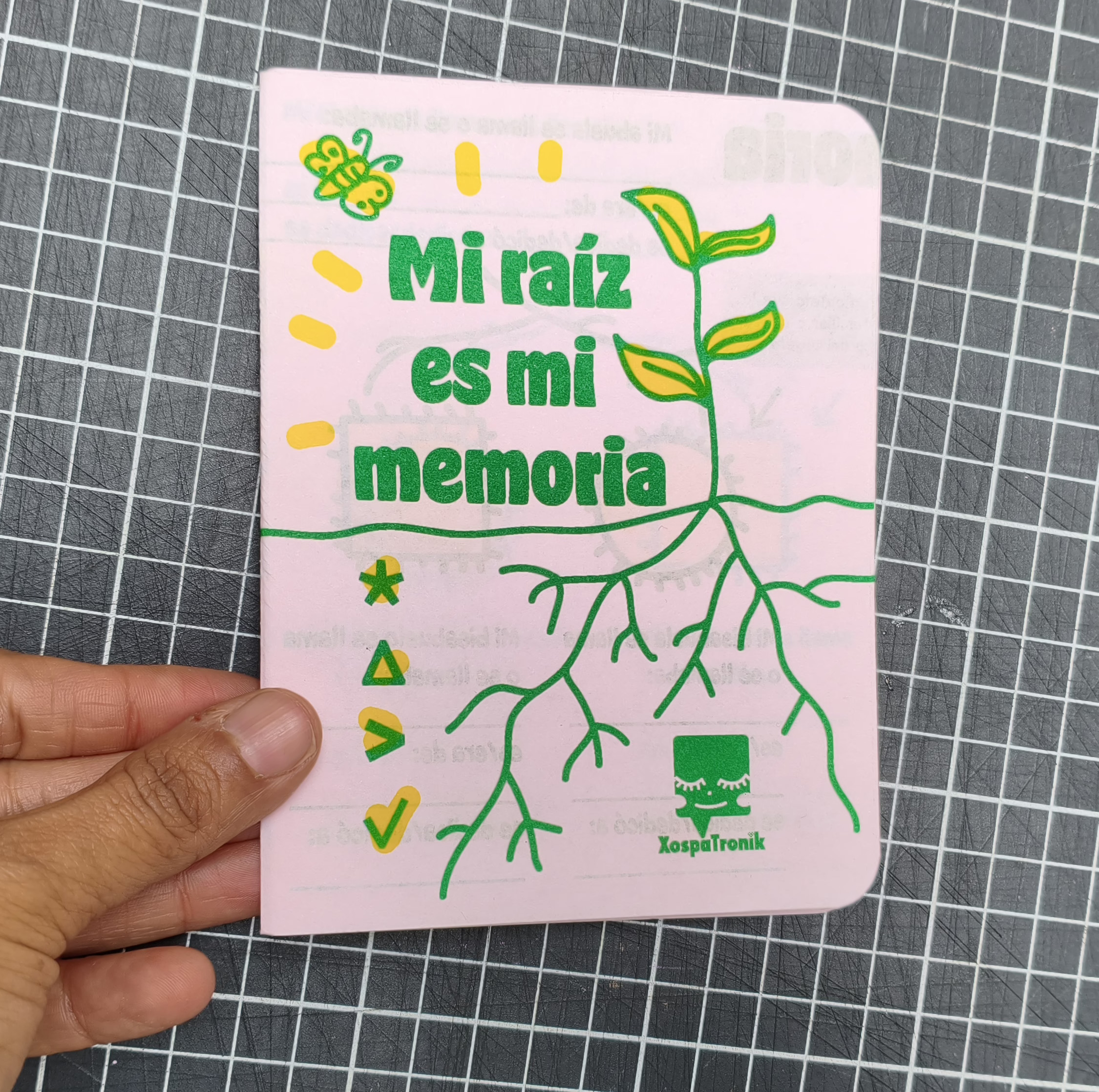 RAIZ5